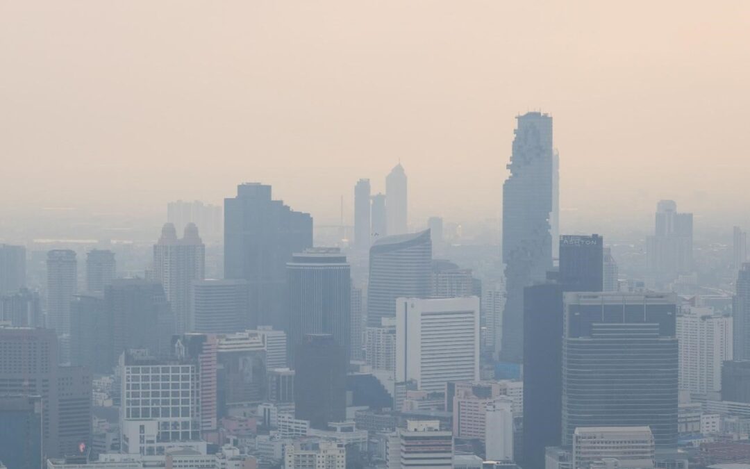 Principais diferenças entre gases poluentes e gases de efeito estufa